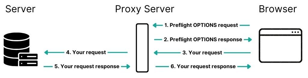 Use proxy server to overcome CORS error
